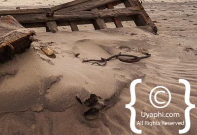 Skeleton Coast Photos