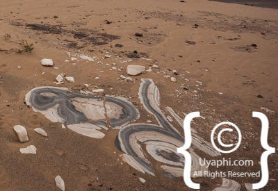 Images Of The Skeleton Coast