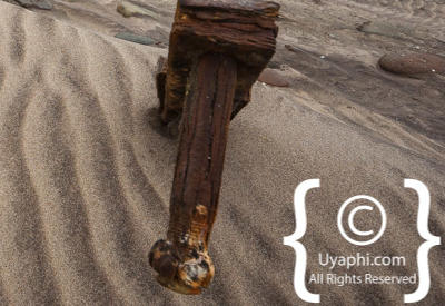 Skeleton Coast Photos