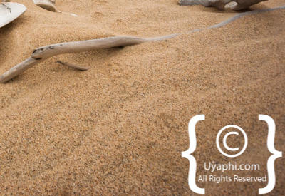 Images Of The Skeleton Coast