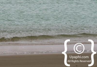 Images Of The Skeleton Coast