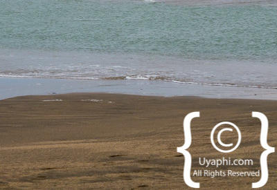 Images Of The Skeleton Coast