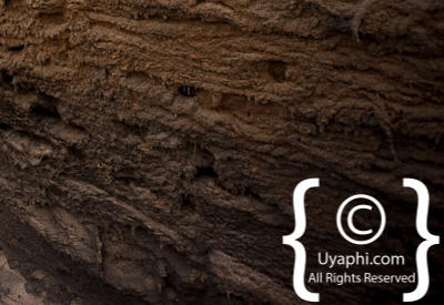 Skeleton Coast Photos