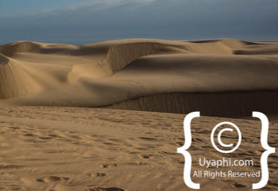 Images Of The Skeleton Coast