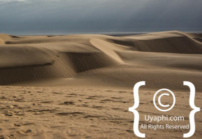 Images Of The Skeleton Coast