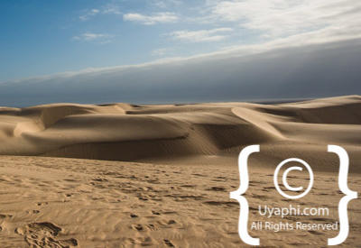 Images Of The Skeleton Coast