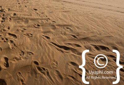 Images Of The Skeleton Coast