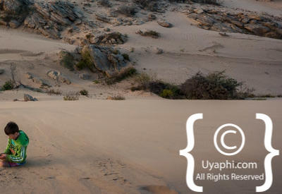 Images Of The Skeleton Coast