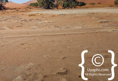 Images Of Sossusvlei