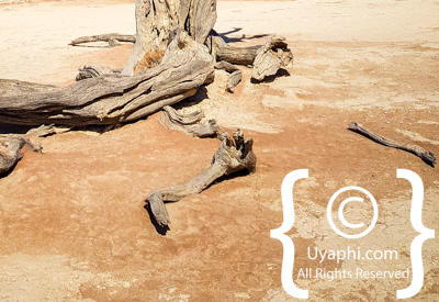 Images Of Sossusvlei