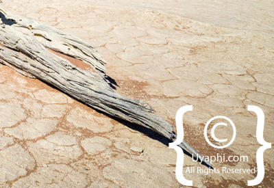 Images Of Sossusvlei