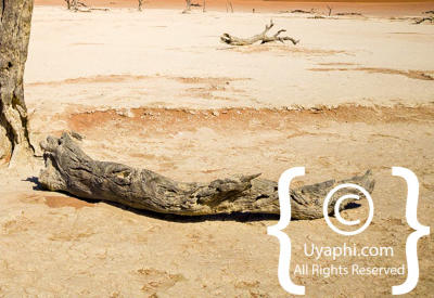 Images Of Sossusvlei