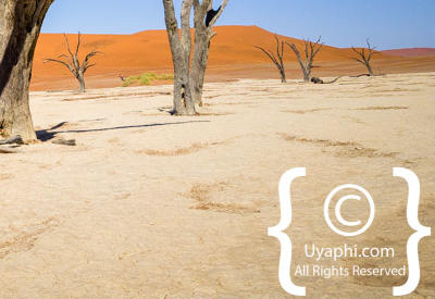 Images Of Sossusvlei