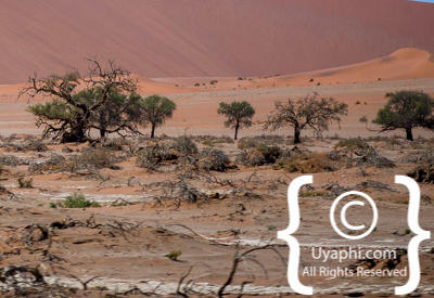 Images Of Sossusvlei