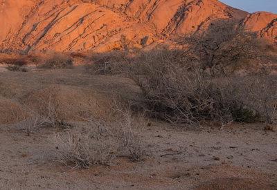 Images Of The  Spitzkoppe