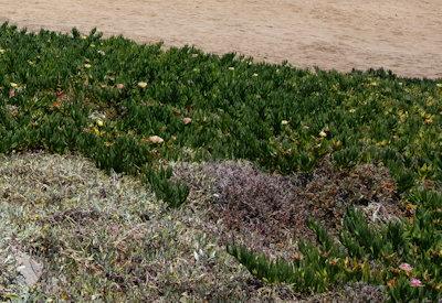 Images Of Swakopmund