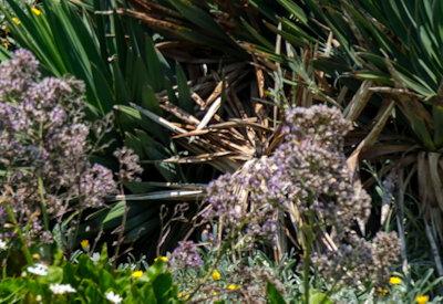 Images Of Swakopmund