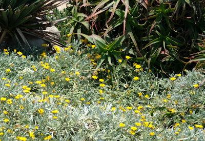 Images Of Swakopmund