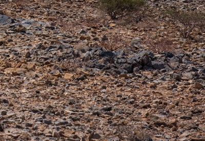 Torra Conservancy Photos