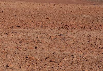 Torra Conservancy Photos