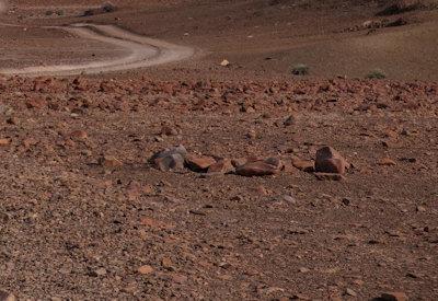 Torra Conservancy Photos