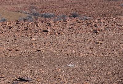 Torra Conservancy Photos