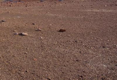 Torra Conservancy Photos