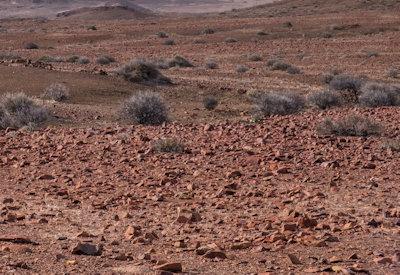 Torra Conservancy Photos