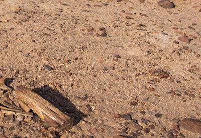 Torra Conservancy Photos