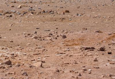 Torra Conservancy Photos