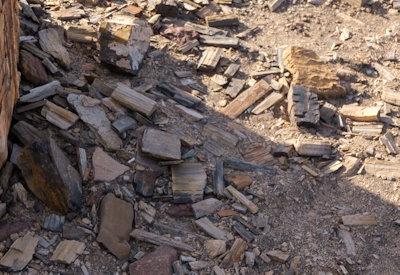 Torra Conservancy Photos