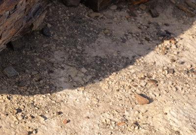 Torra Conservancy Photos