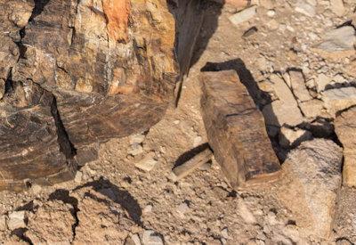 Torra Conservancy Photos