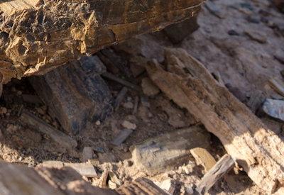 Images Of The Torra Conservancy