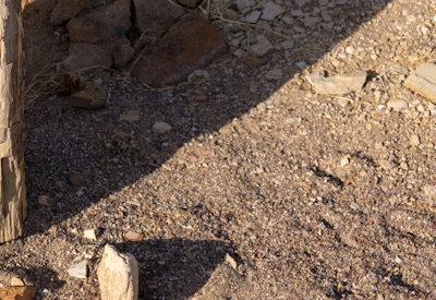 Images Of The Torra Conservancy