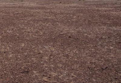 Images Of The Torra Conservancy