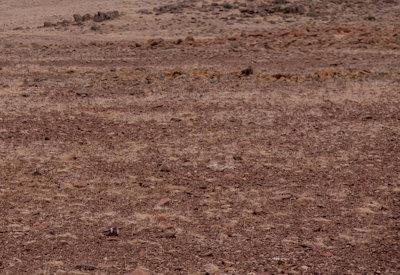 Images Of The Torra Conservancy