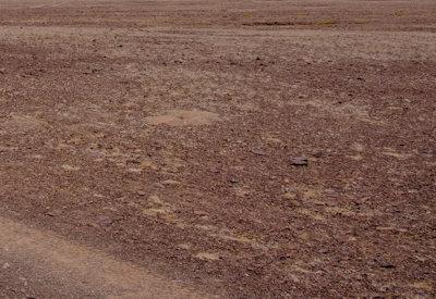 Images Of The Torra Conservancy