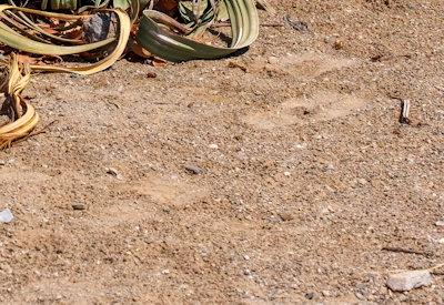 Torra Conservancy Photos