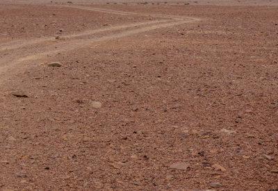 Images Of The Torra Conservancy