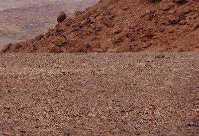 Images Of The Torra Conservancy