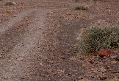 Images Of The Torra Conservancy