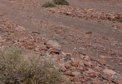 Images Of The Torra Conservancy