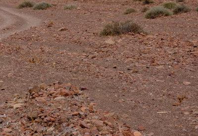 Images Of The Torra Conservancy