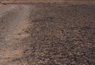 Images Of The Torra Conservancy