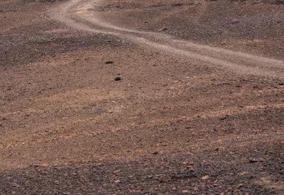 Images Of The Torra Conservancy