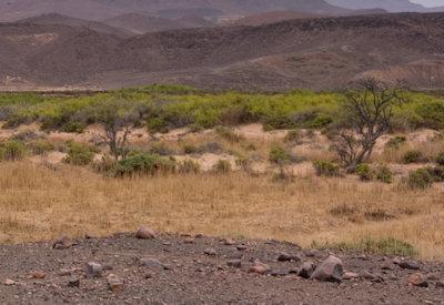 Images Of The Torra Conservancy