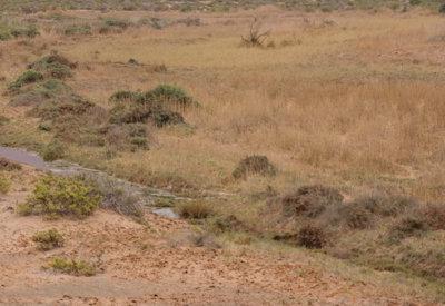 Images Of The Torra Conservancy