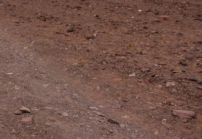 Images Of The Torra Conservancy