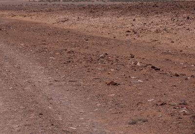 Images Of The Torra Conservancy